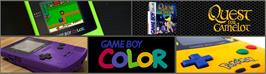 Arcade Cabinet Marquee for Quest for Camelot.
