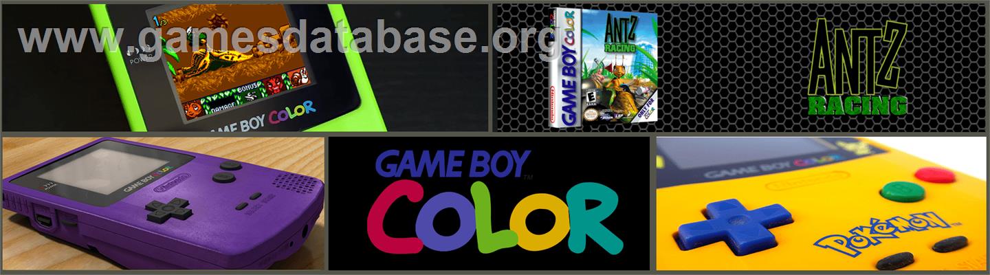 Antz Racing - Nintendo Game Boy Color - Artwork - Marquee