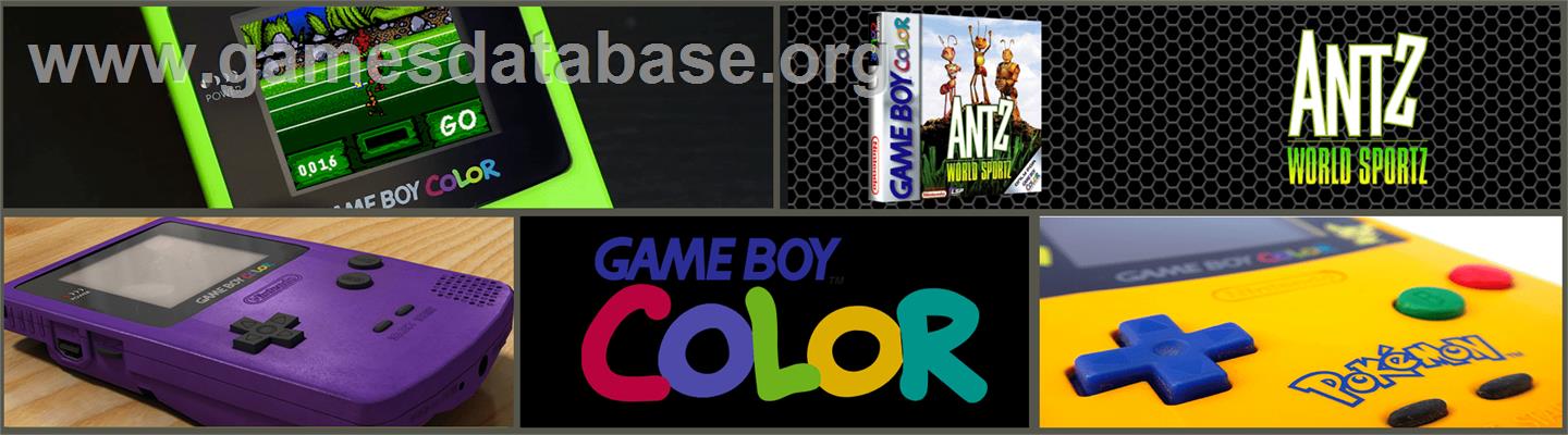 Antz World Sportz - Nintendo Game Boy Color - Artwork - Marquee