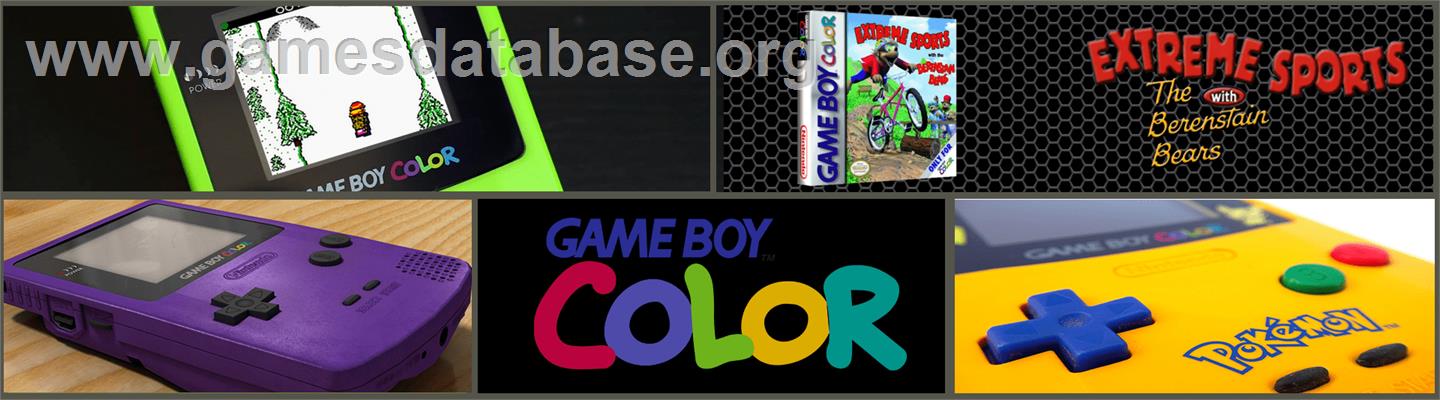 Extreme Sports With The Berenstain Bears - Nintendo Game Boy Color - Artwork - Marquee