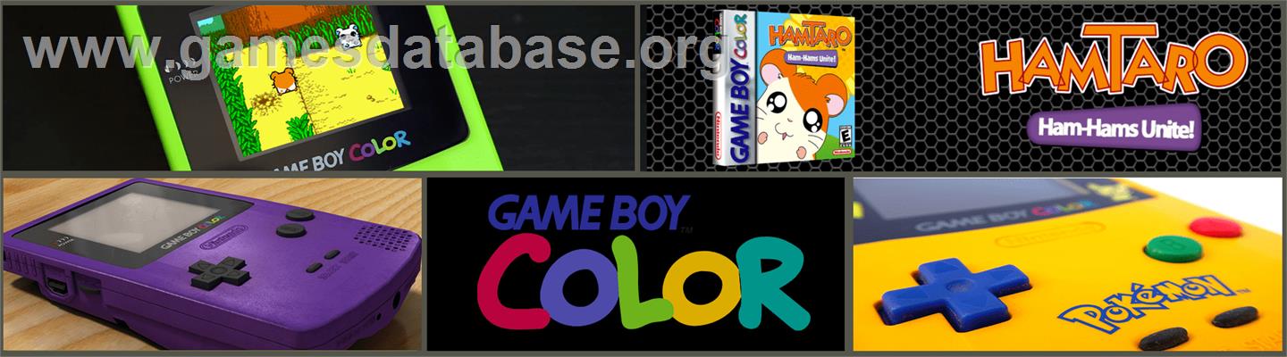 Hamtaro: Ham-Hams Unite - Nintendo Game Boy Color - Artwork - Marquee