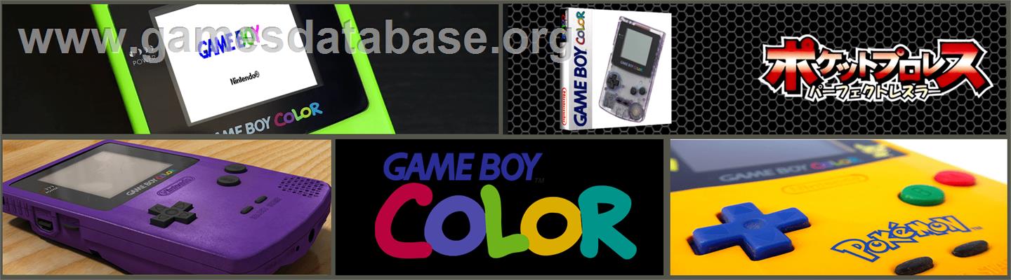 Pocket Pro Wrestling - Perfect Wrestler - Nintendo Game Boy Color - Artwork - Marquee