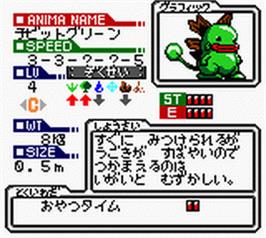 In game image of Animastar Gb on the Nintendo Game Boy Color.