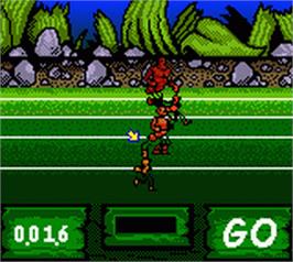 In game image of Antz World Sportz on the Nintendo Game Boy Color.