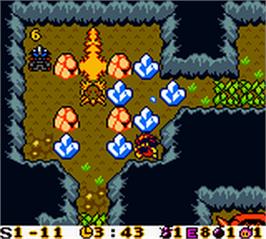 In game image of Bomberman Max - Red Challenger on the Nintendo Game Boy Color.