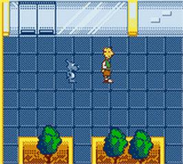 In game image of Doug's Big Game on the Nintendo Game Boy Color.