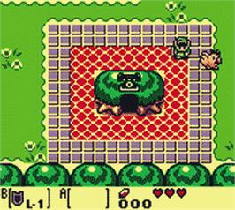 In game image of Legend Of Zelda - Link's Awakening Dx, The on the Nintendo Game Boy Color.
