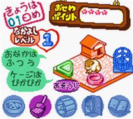 In game image of Nakayoshi Pet Series 1 - Kawaii Hamster on the Nintendo Game Boy Color.