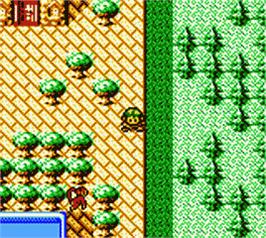 In game image of Revelations: The Demon Slayer on the Nintendo Game Boy Color.