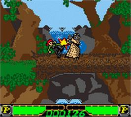 In game image of Shrek: Fairy Tale Freakdown on the Nintendo Game Boy Color.