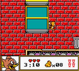 In game image of Tom And Jerry on the Nintendo Game Boy Color.