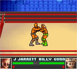 In game image of WWF Attitude on the Nintendo Game Boy Color.
