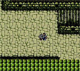 In game image of Warriors Of Might And Magic on the Nintendo Game Boy Color.