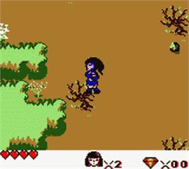In game image of Xena - Warrior Princess on the Nintendo Game Boy Color.