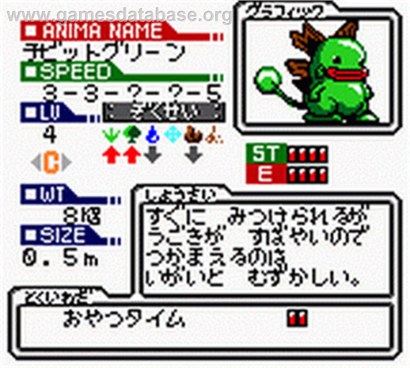 Animastar Gb - Nintendo Game Boy Color - Artwork - In Game