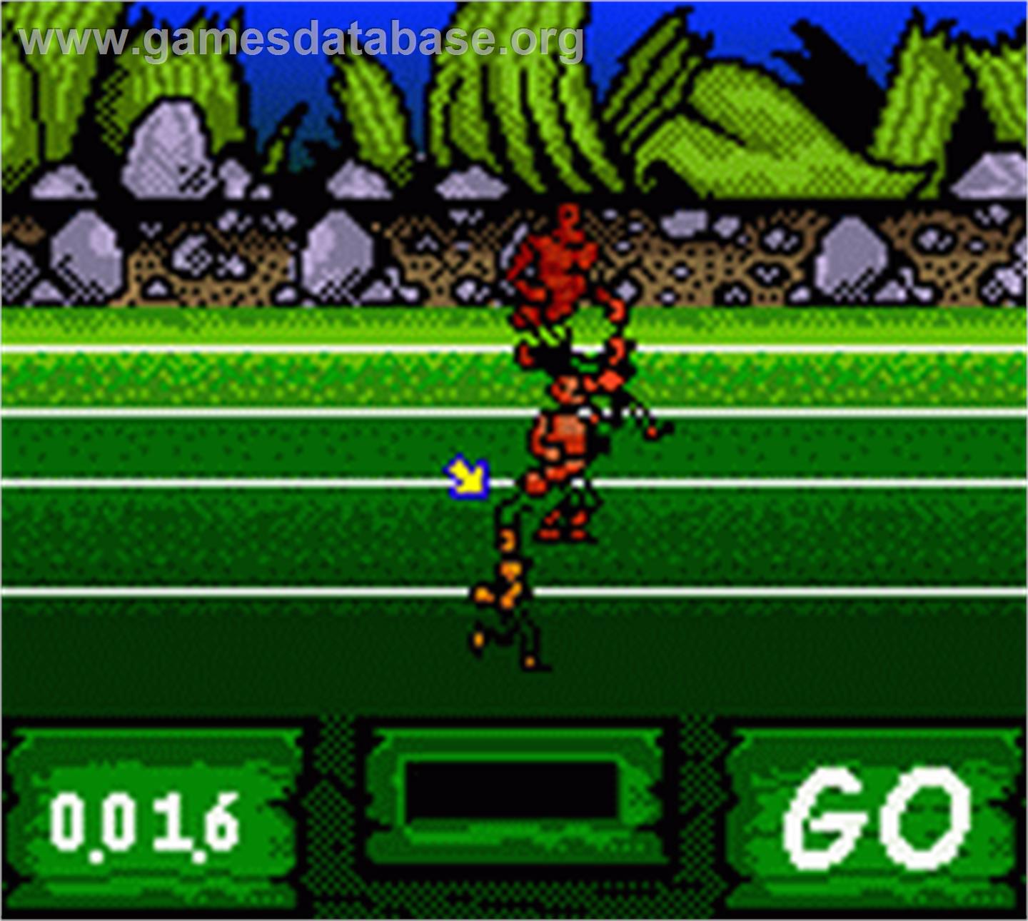 Antz World Sportz - Nintendo Game Boy Color - Artwork - In Game