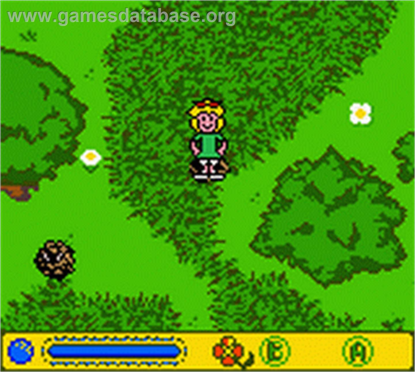 Bibi Blocksberg: Im Bann der Hexenkugel - Nintendo Game Boy Color - Artwork - In Game