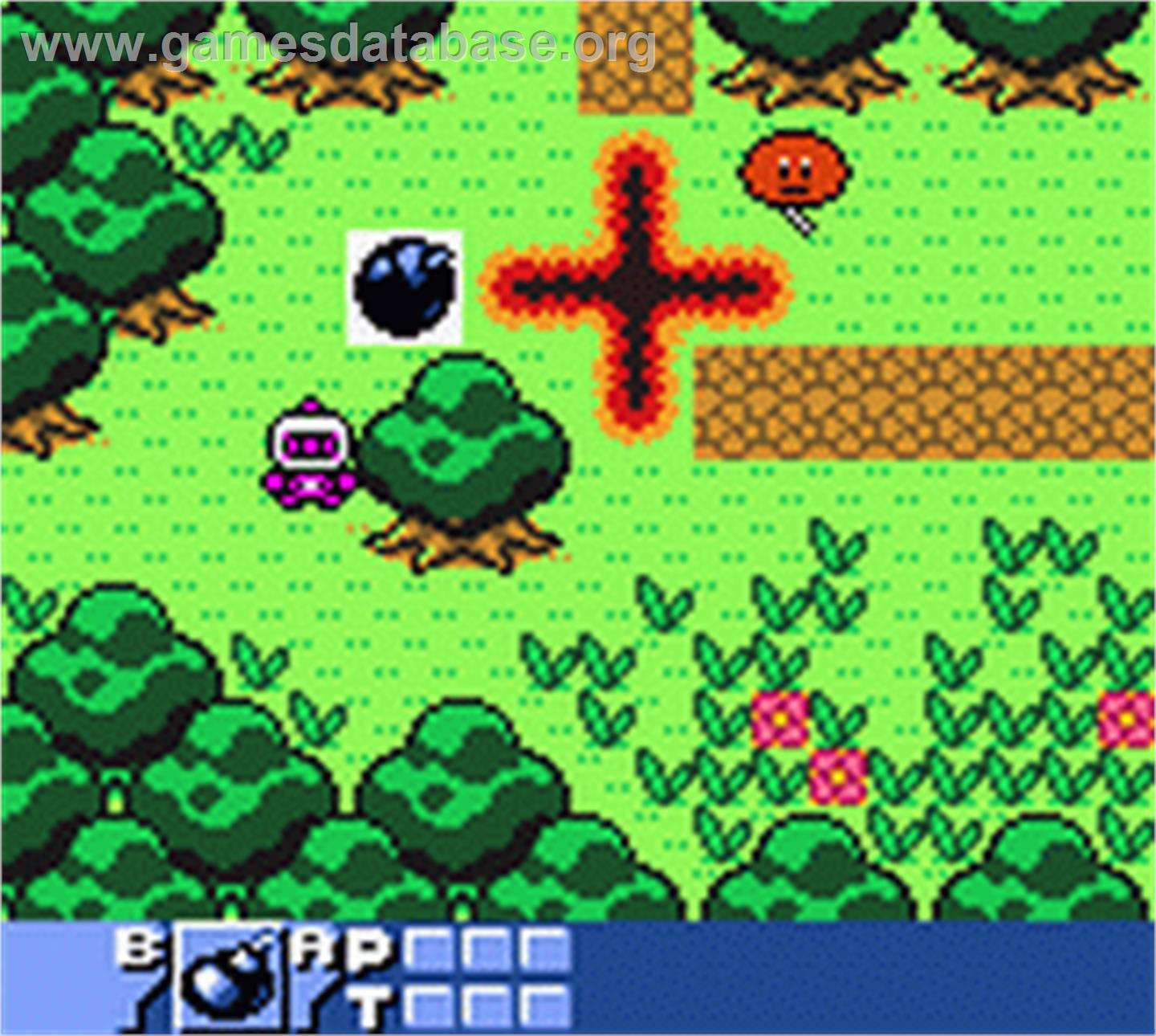 Bomberman Quest - Nintendo Game Boy Color - Artwork - In Game