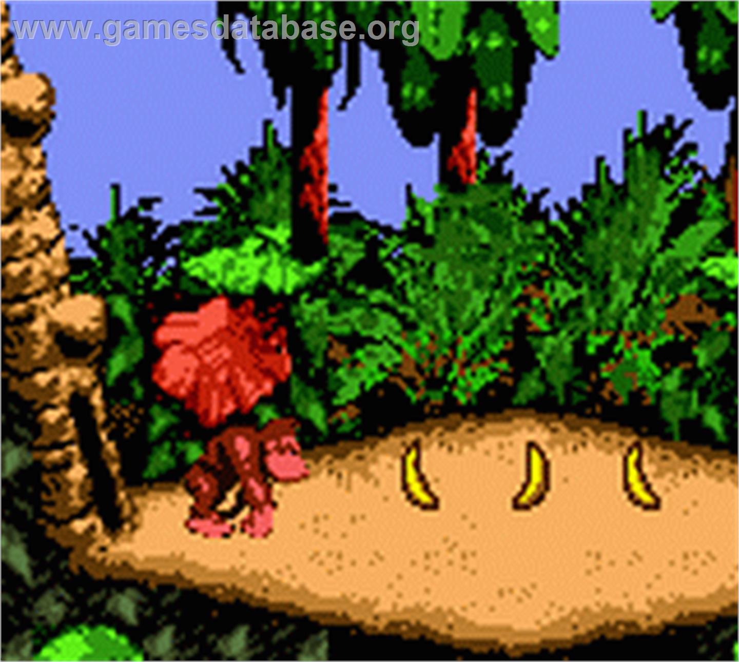 Donkey Kong Country - Nintendo Game Boy Color - Artwork - In Game