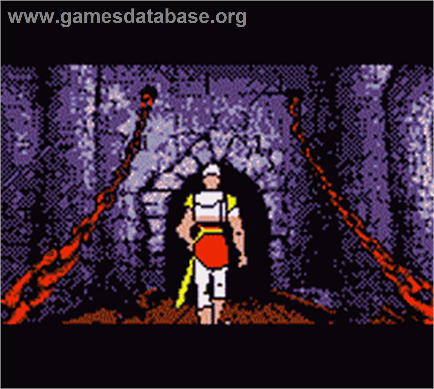 Dragon's Lair - Nintendo Game Boy Color - Artwork - In Game