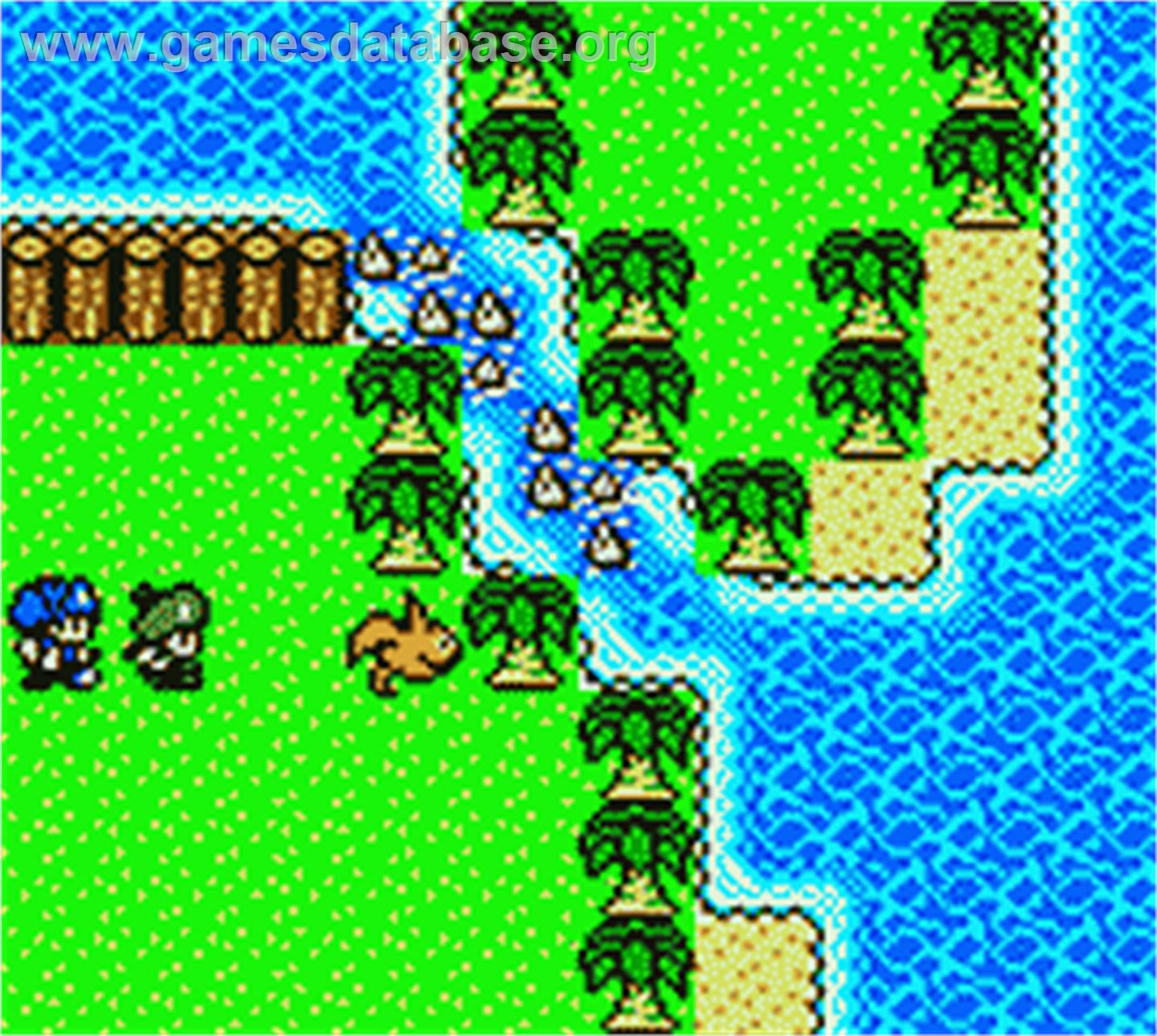 Dragon Warrior Monsters 2: Tara's Adventure - Nintendo Game Boy Color - Artwork - In Game