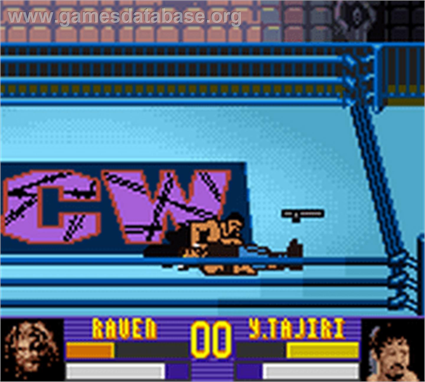 Ecw Hardcore Revolution - Nintendo Game Boy Color - Artwork - In Game