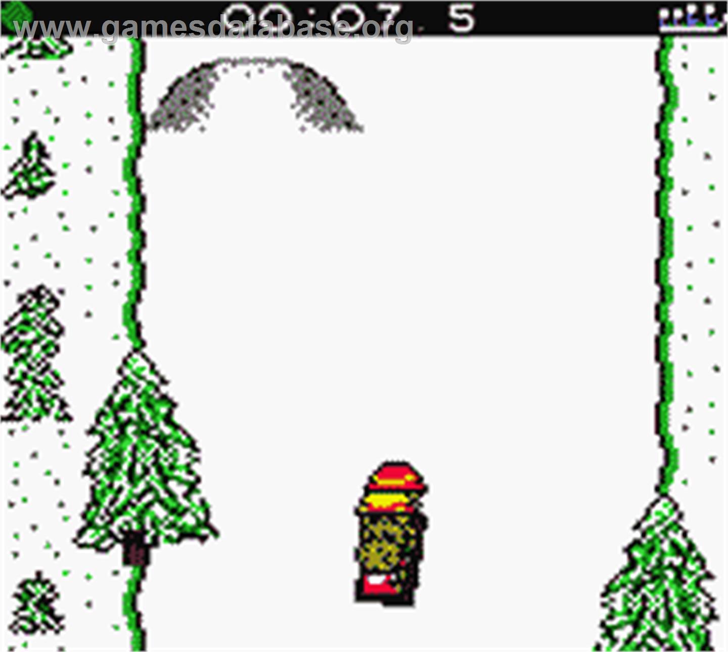 Extreme Sports With The Berenstain Bears - Nintendo Game Boy Color - Artwork - In Game