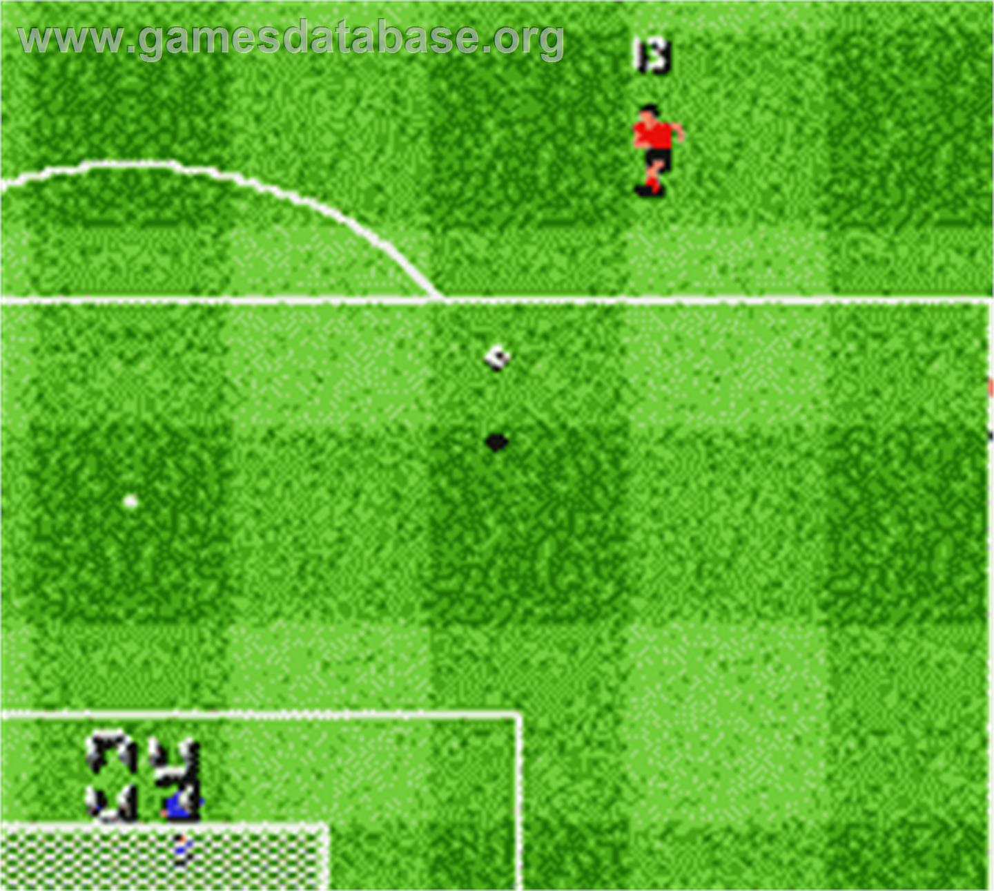 F.a. Premier League Stars 2001, The - Nintendo Game Boy Color - Artwork - In Game