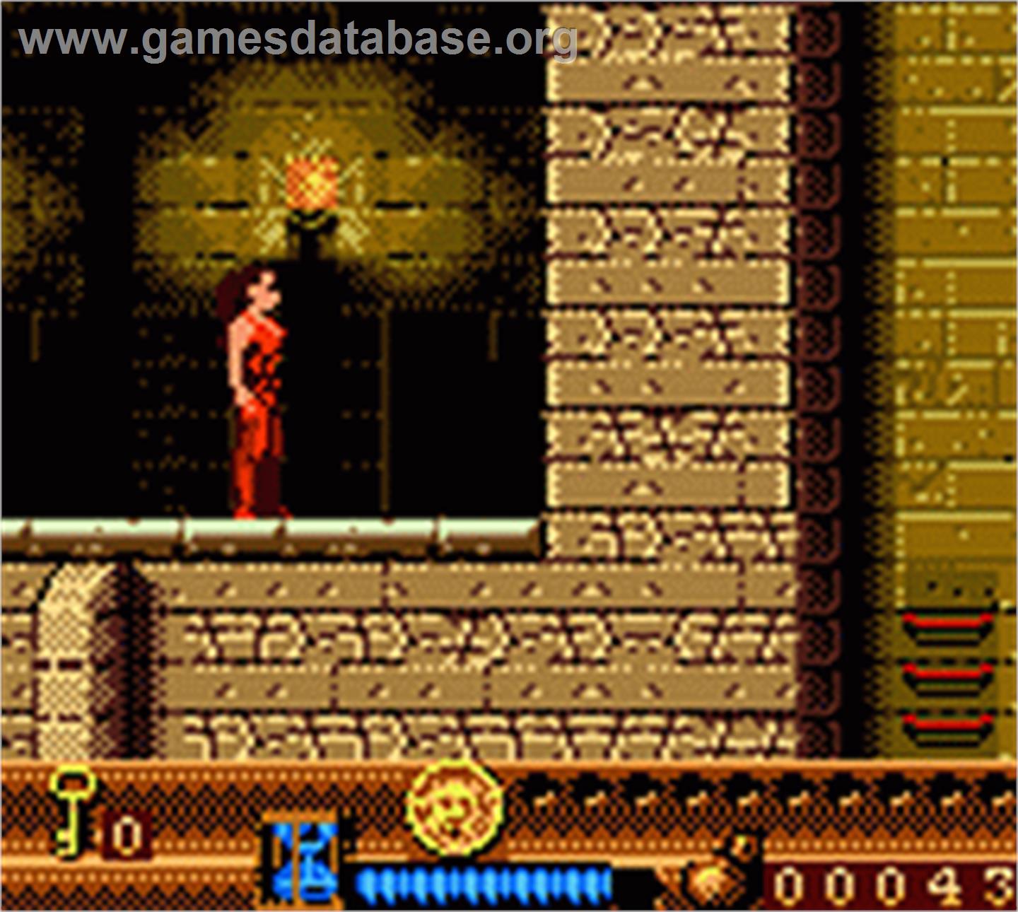 Fort Boyard - Nintendo Game Boy Color - Artwork - In Game