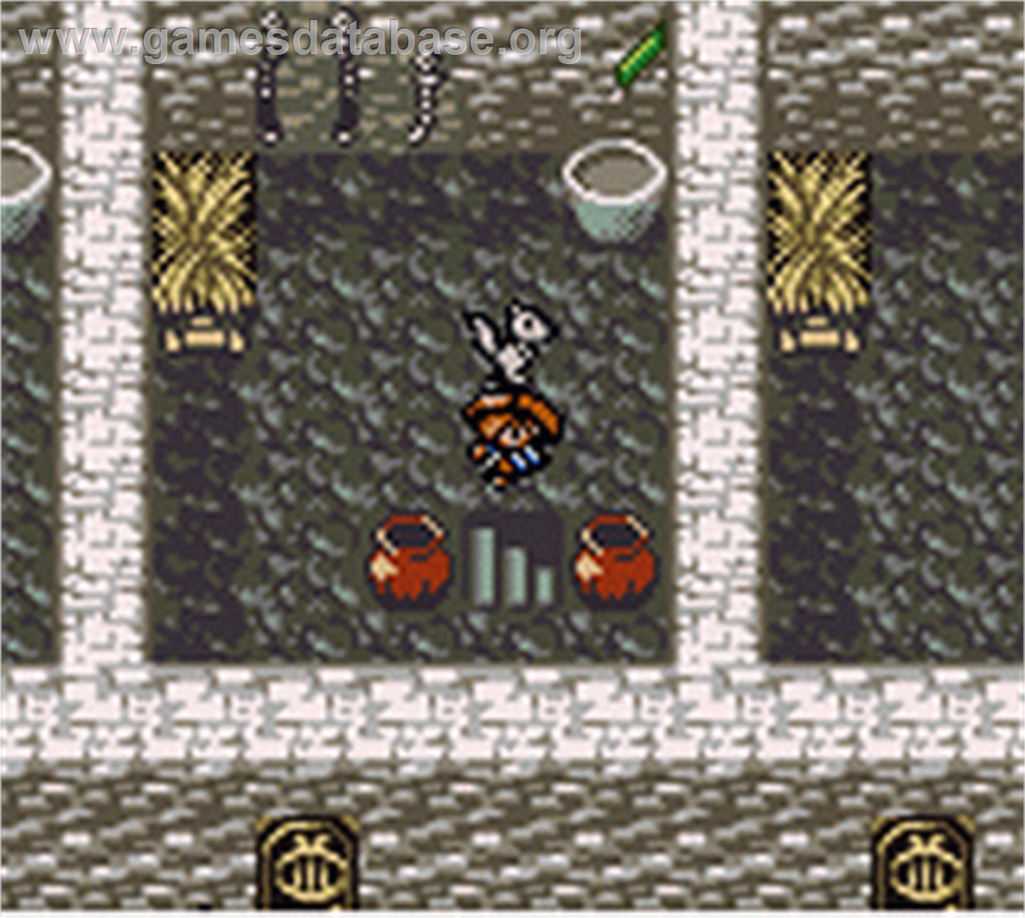 Fushigi No Dungeon - Fuurai No Shiren Gb2 - Sabaku No Majou - Nintendo Game Boy Color - Artwork - In Game