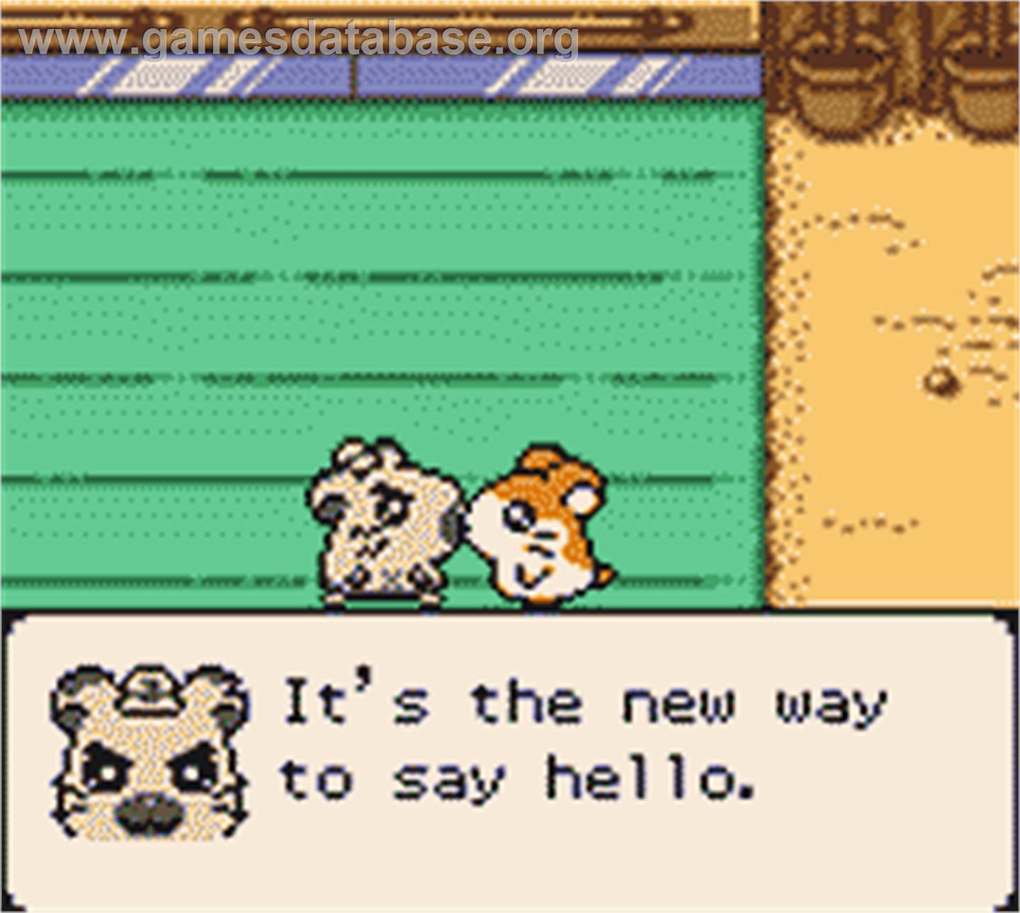 Hamtaro: Ham-Hams Unite - Nintendo Game Boy Color - Artwork - In Game