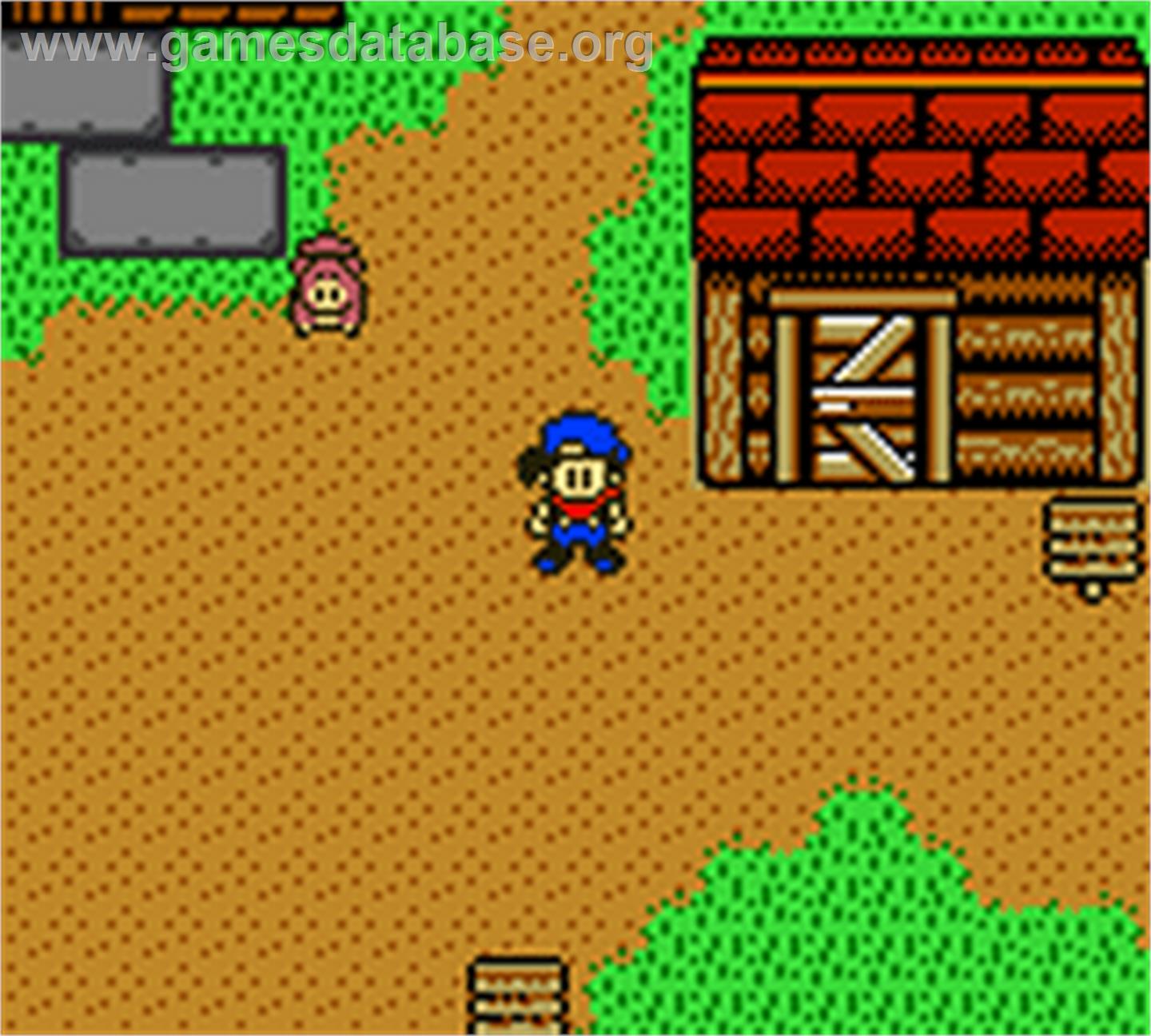 Harvest Moon 3 GBC - Nintendo Game Boy Color - Artwork - In Game