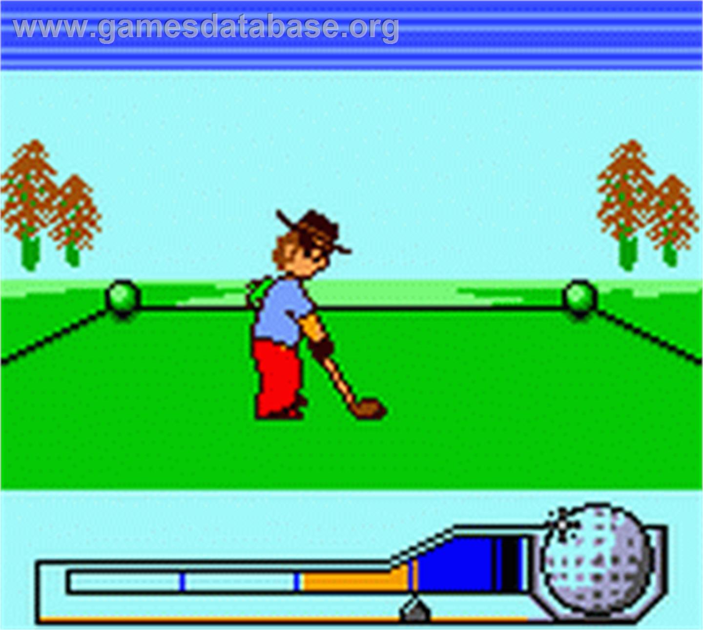 Hole in One Golf - Nintendo Game Boy Color - Artwork - In Game