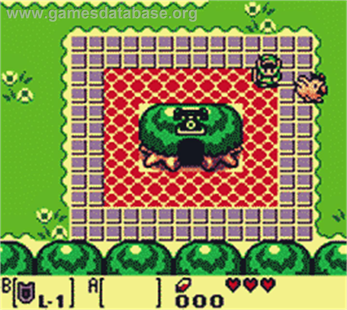 Legend Of Zelda - Link's Awakening Dx, The - Nintendo Game Boy Color - Artwork - In Game