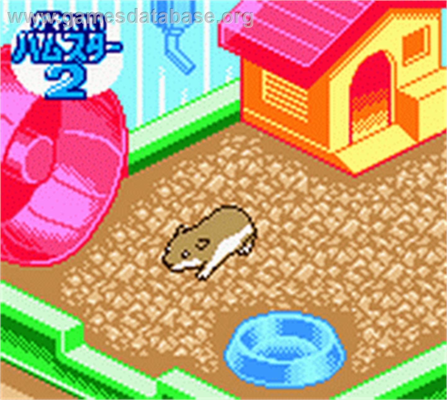 Nakayoshi Pet Series 5 - Kawaii Hamster 2 - Nintendo Game Boy Color - Artwork - In Game