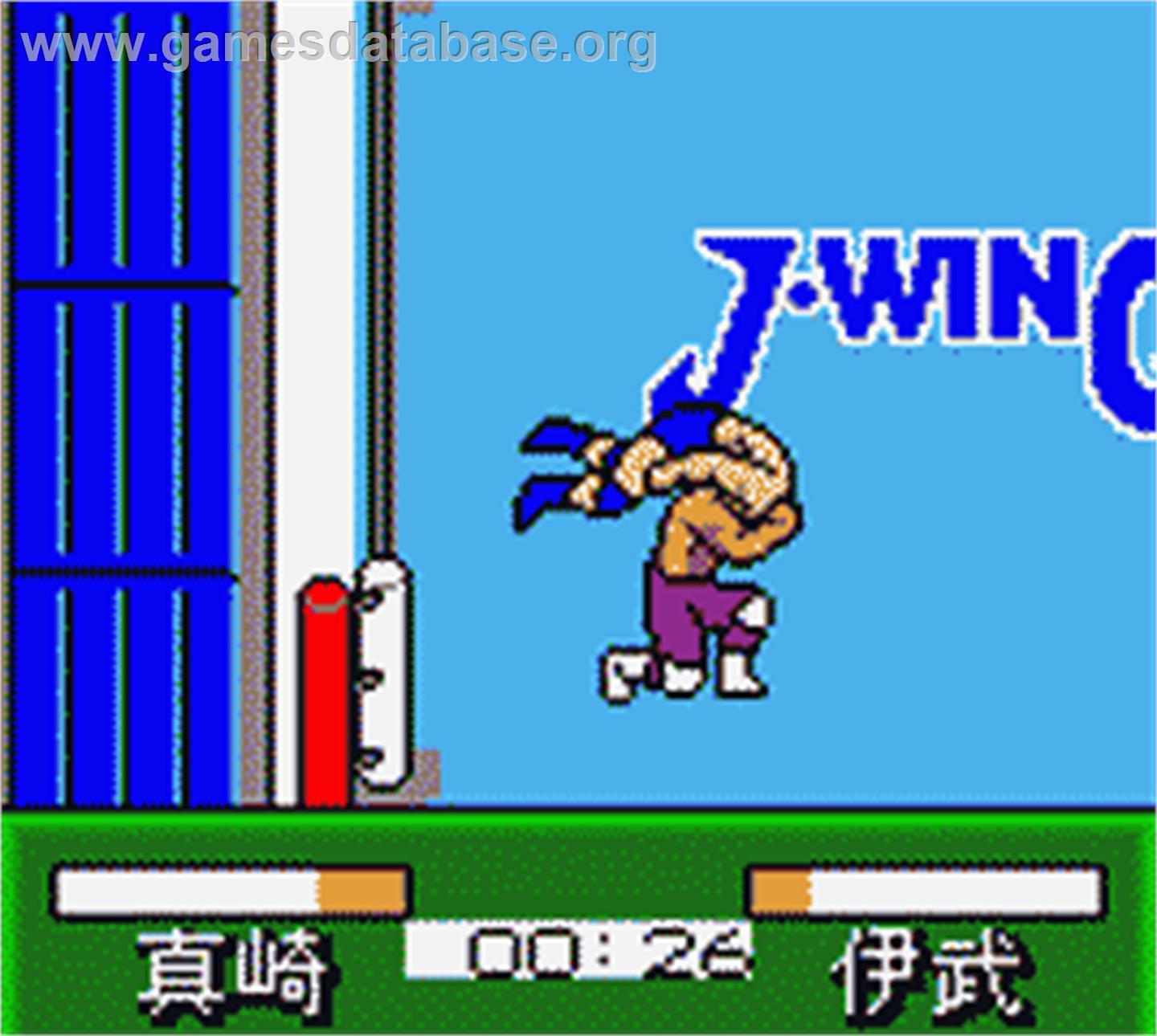 Pocket Pro Wrestling - Perfect Wrestler - Nintendo Game Boy Color - Artwork - In Game