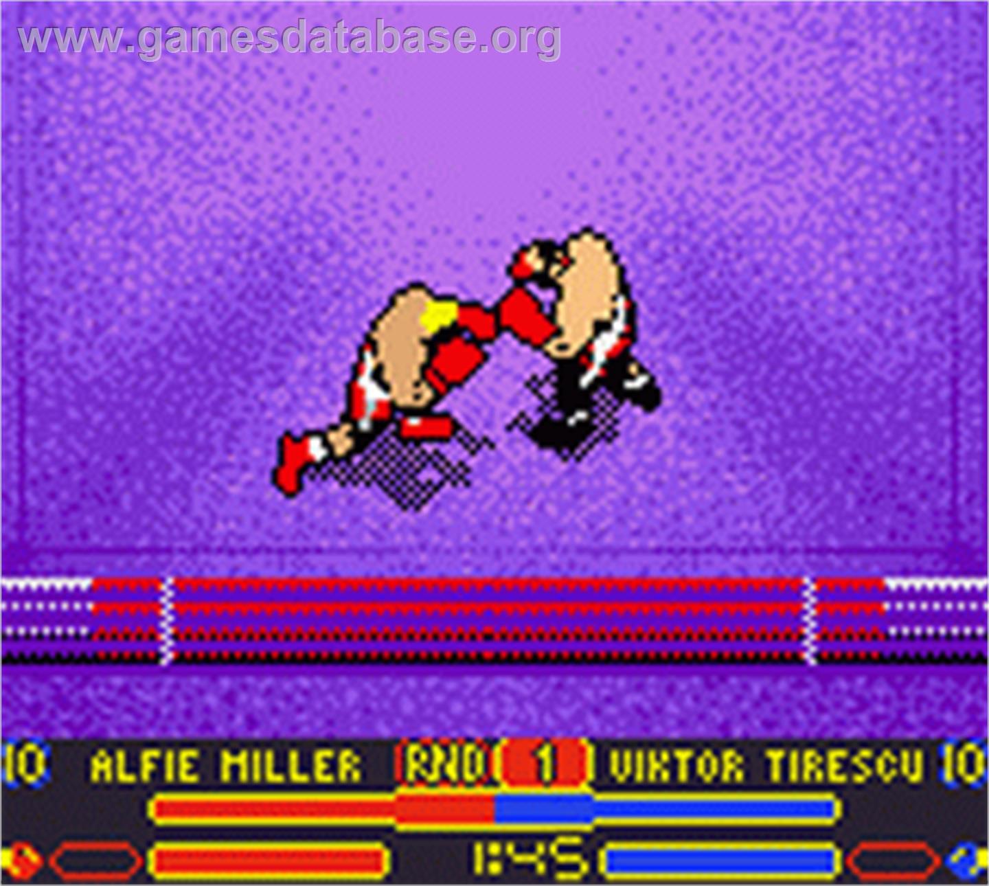 Prince Naseem Boxing - Nintendo Game Boy Color - Artwork - In Game
