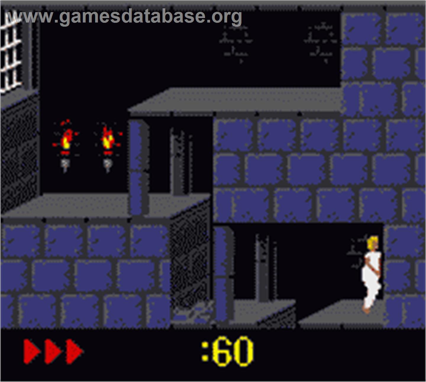 Prince of Persia - Nintendo Game Boy Color - Artwork - In Game