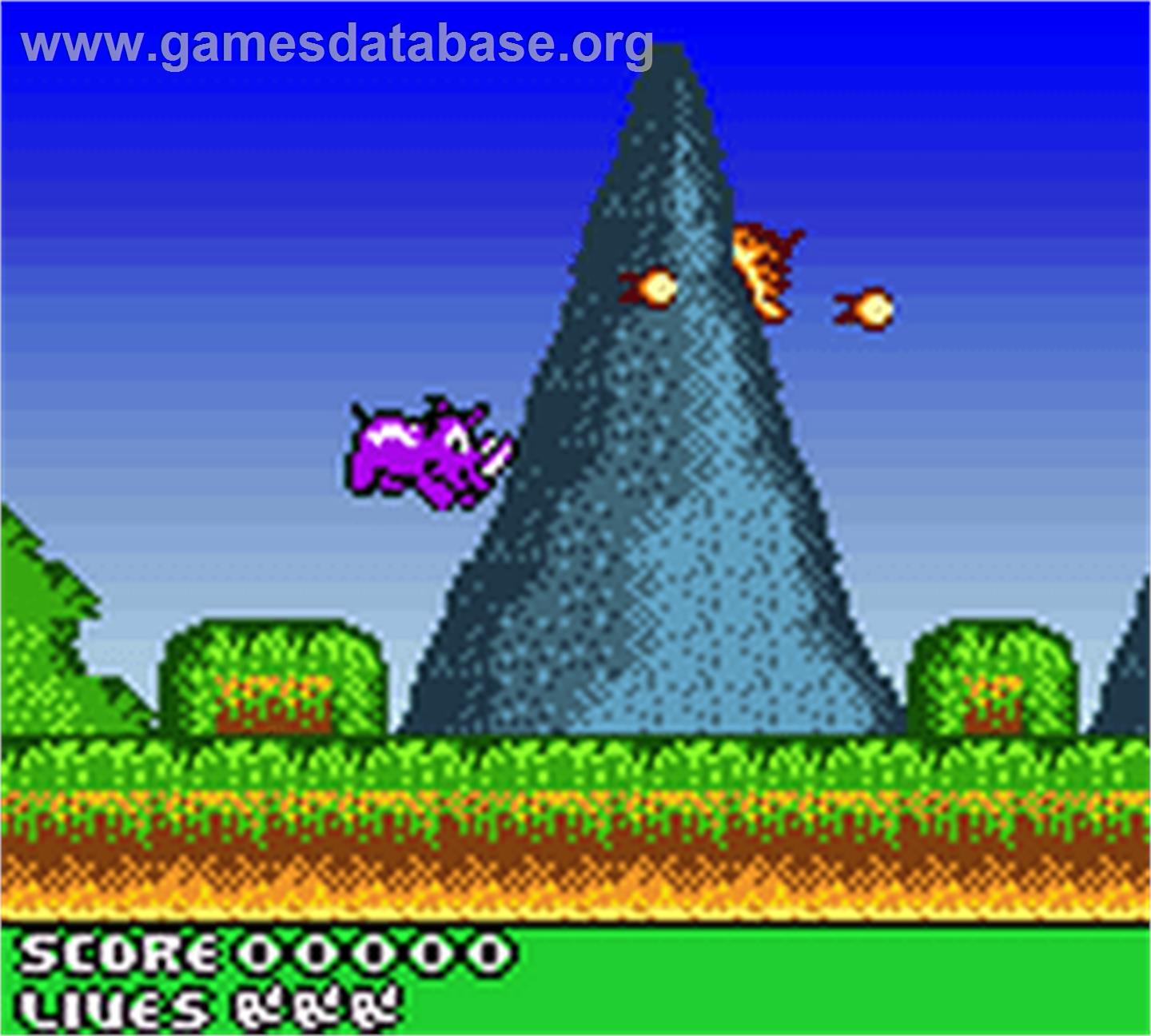 Rhino Rumble - Nintendo Game Boy Color - Artwork - In Game