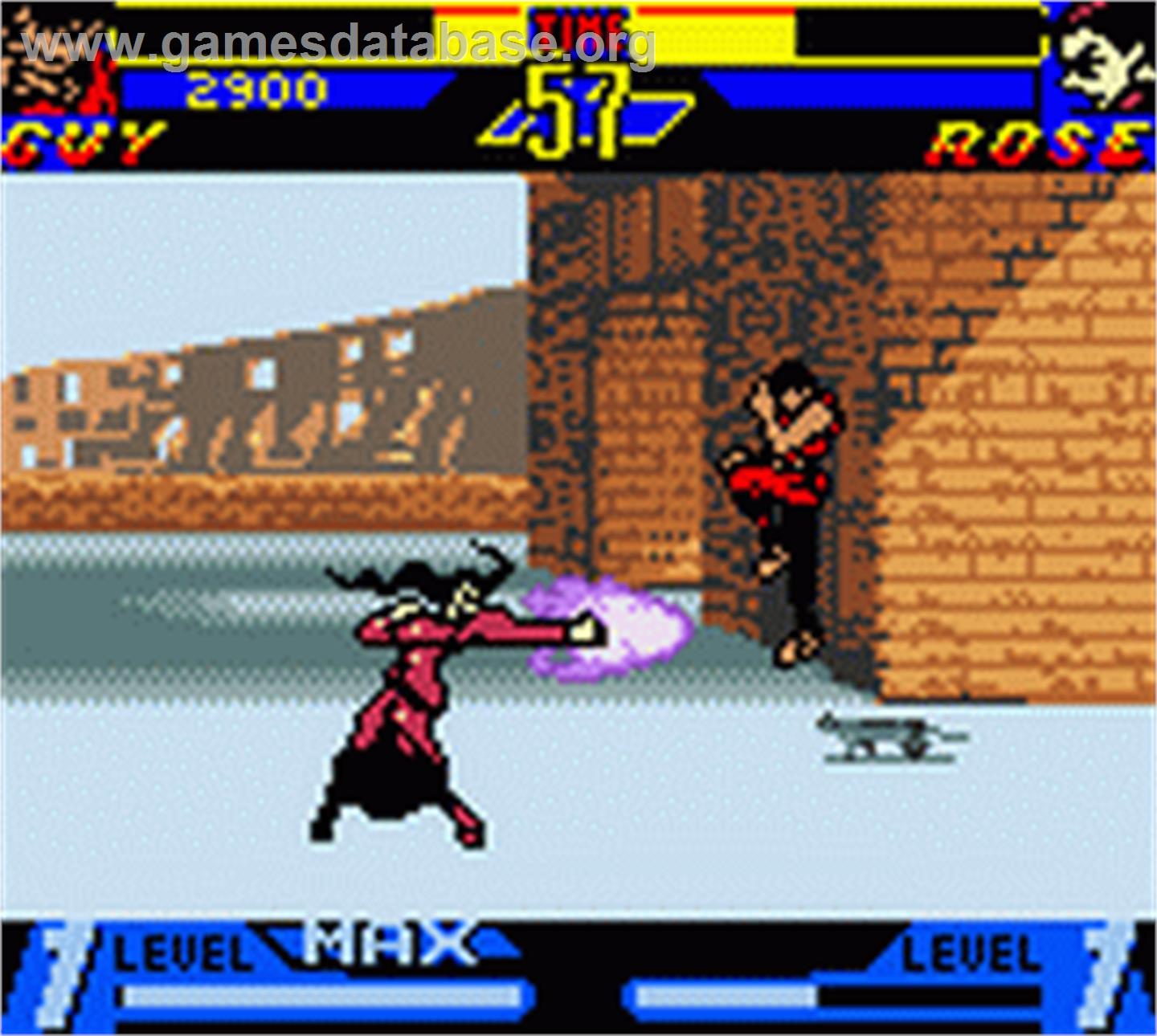 Street Fighter Alpha: Warriors' Dreams - Nintendo Game Boy Color - Artwork - In Game