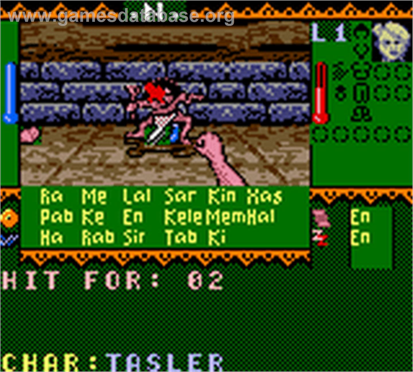 Towers - Lord Baniff's Deceit - Nintendo Game Boy Color - Artwork - In Game