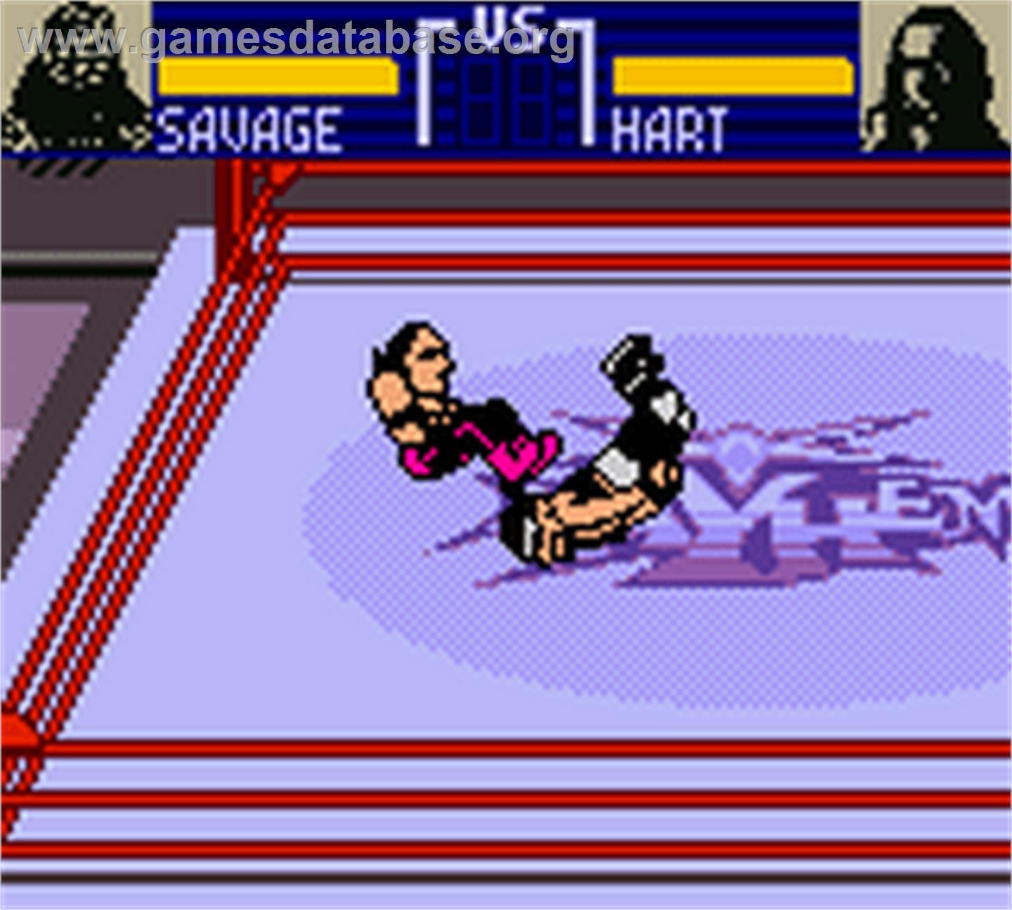WCW Mayhem - Nintendo Game Boy Color - Artwork - In Game