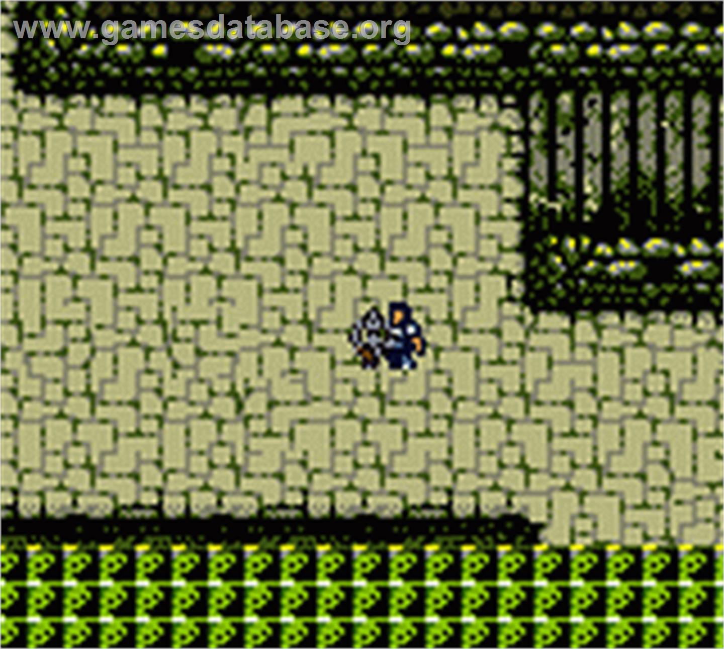 Warriors Of Might And Magic - Nintendo Game Boy Color - Artwork - In Game