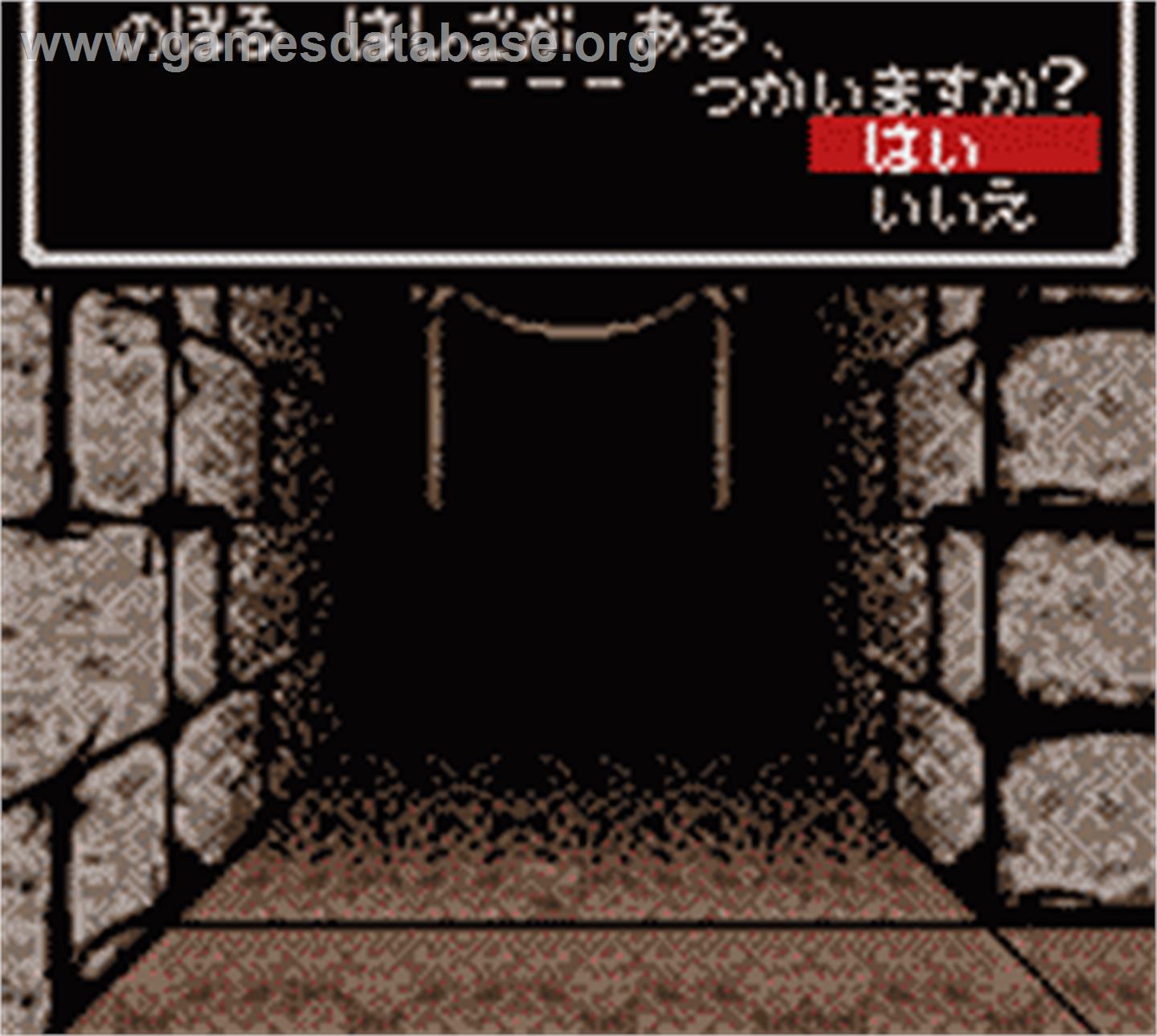 Wizardry - Proving Grounds of the Mad Overlord - Nintendo Game Boy Color - Artwork - In Game