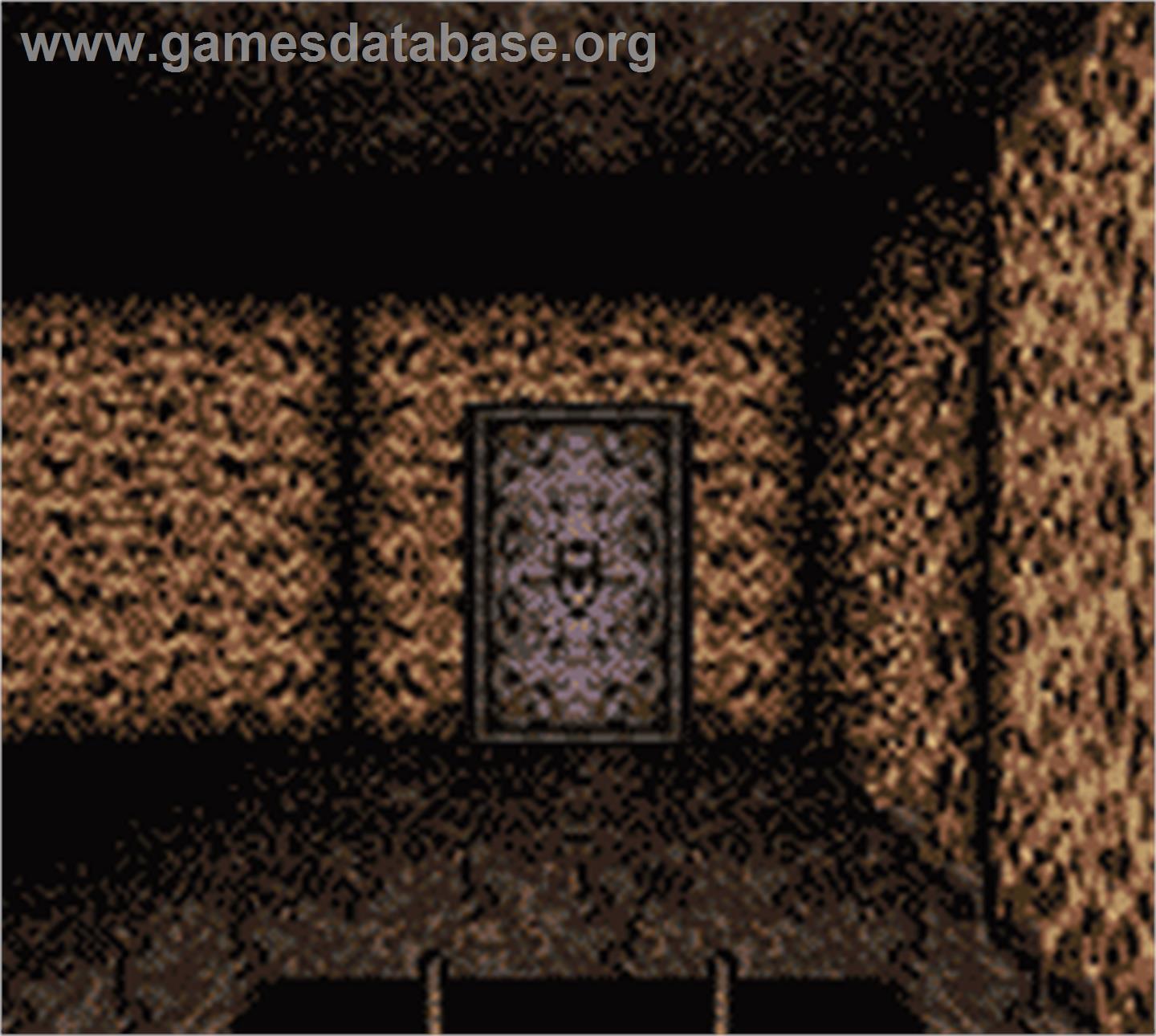 Wizardry 2 - Llylgamyn No Isan - Nintendo Game Boy Color - Artwork - In Game