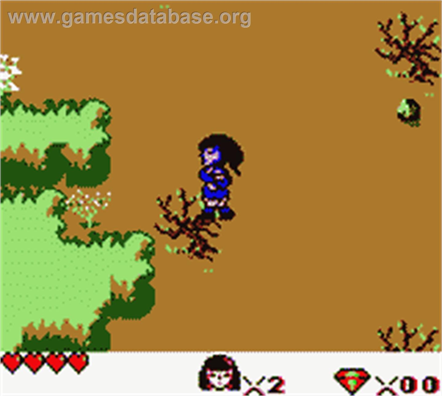 Xena - Warrior Princess - Nintendo Game Boy Color - Artwork - In Game
