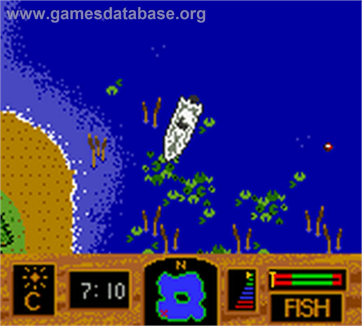 Zebco Fishing! - Nintendo Game Boy Color - Artwork - In Game
