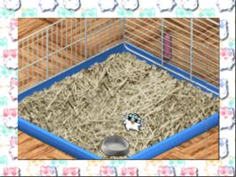 In game image of Hamster Monogatari 64 on the Nintendo N64.