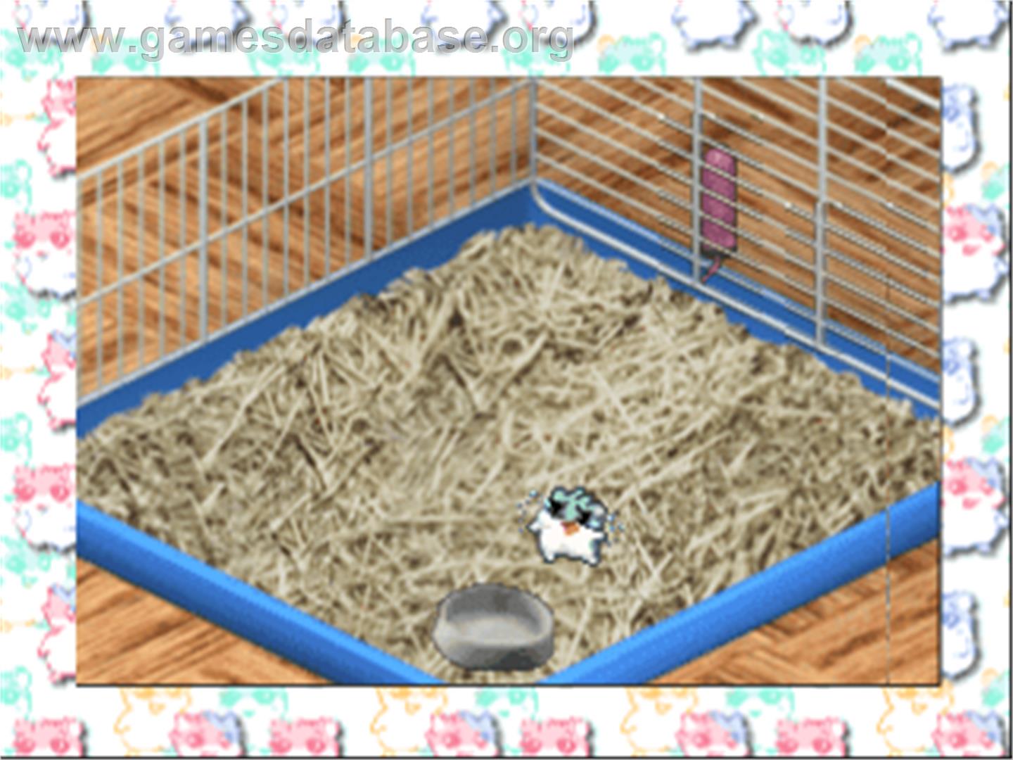 Hamster Monogatari 64 - Nintendo N64 - Artwork - In Game