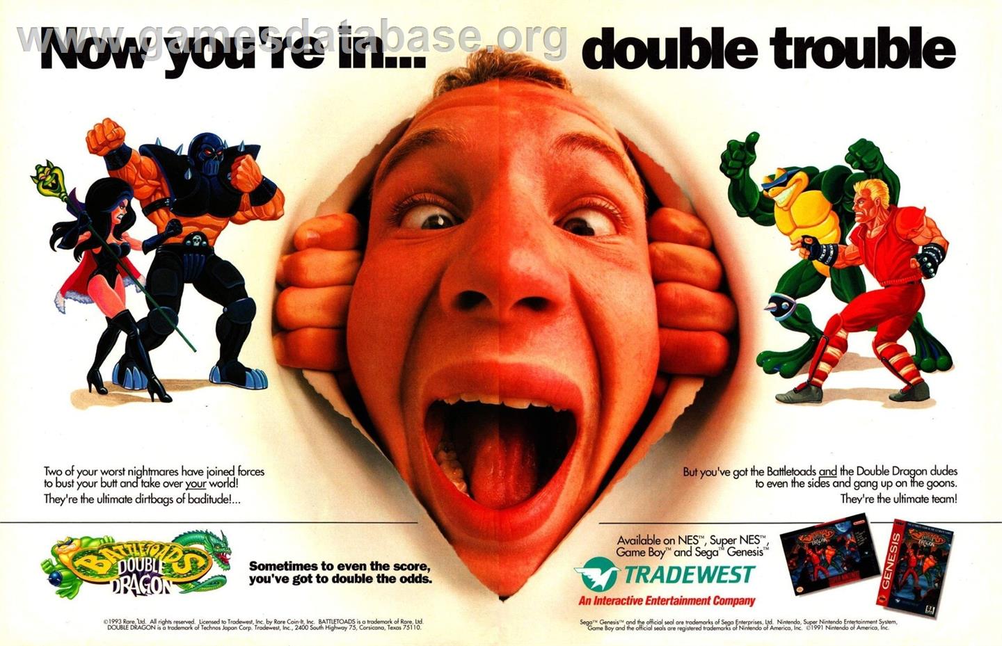 Battletoads And Double Dragon - Sega Genesis - Artwork - Advert